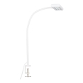 Lampă LED flexibilă de masă cu clemă Brilo TRASNA LED/7,5W/230V alb