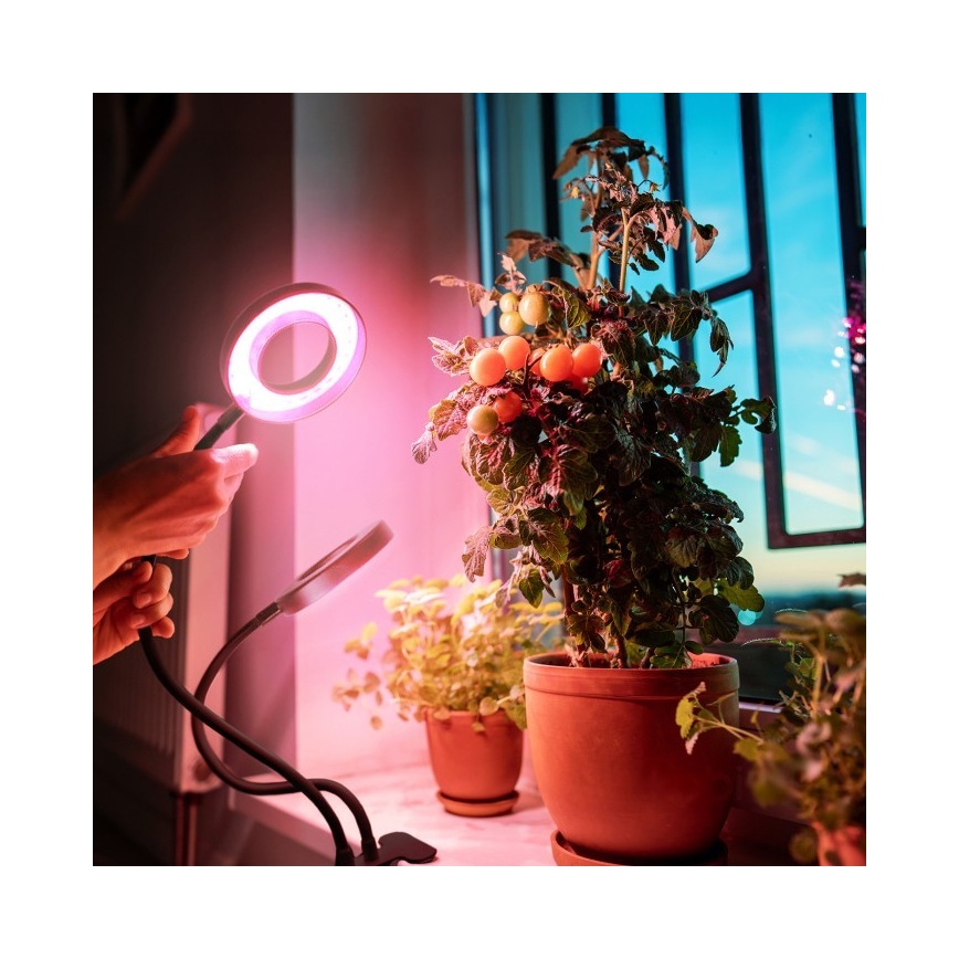 Lampă LED flexibilă dimabilă de masă cu clemă pentru creșterea plantelor VITARO 2xLED/4W/230V negru