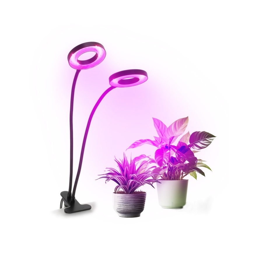 Lampă LED flexibilă dimabilă de masă cu clemă pentru creșterea plantelor VITARO 2xLED/4W/230V negru