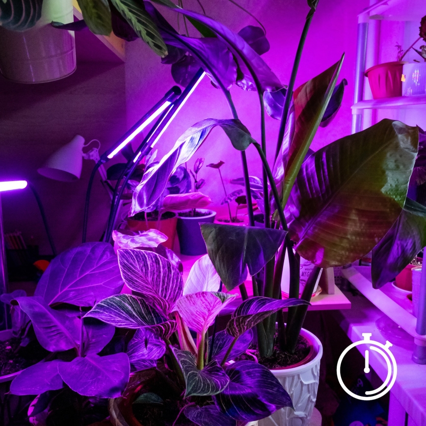 Lampă de birou flexibilă LED reglabilă cu clemă pentru cultivarea plantelor VITARO 3xLED/10W/230V negru