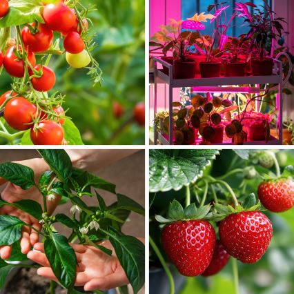 Lampă de birou flexibilă LED reglabilă cu clemă pentru cultivarea plantelor VITARO 3xLED/10W/230V negru