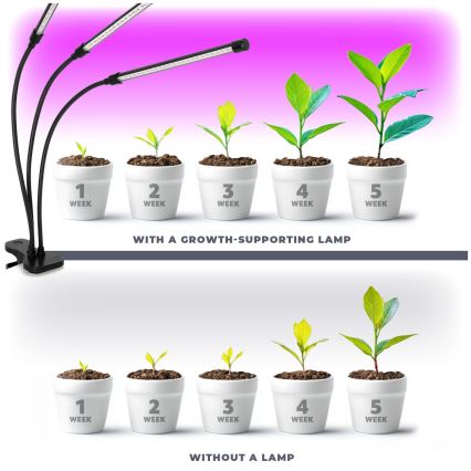 Lampă de birou flexibilă LED reglabilă cu clemă pentru cultivarea plantelor VITARO 3xLED/10W/230V negru