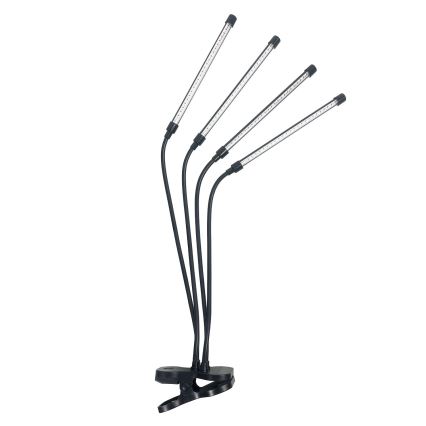 Lampă de birou flexibilă LED reglabilă cu clemă pentru cultivarea plantelor VITARO 4xLED/10W/230V negru