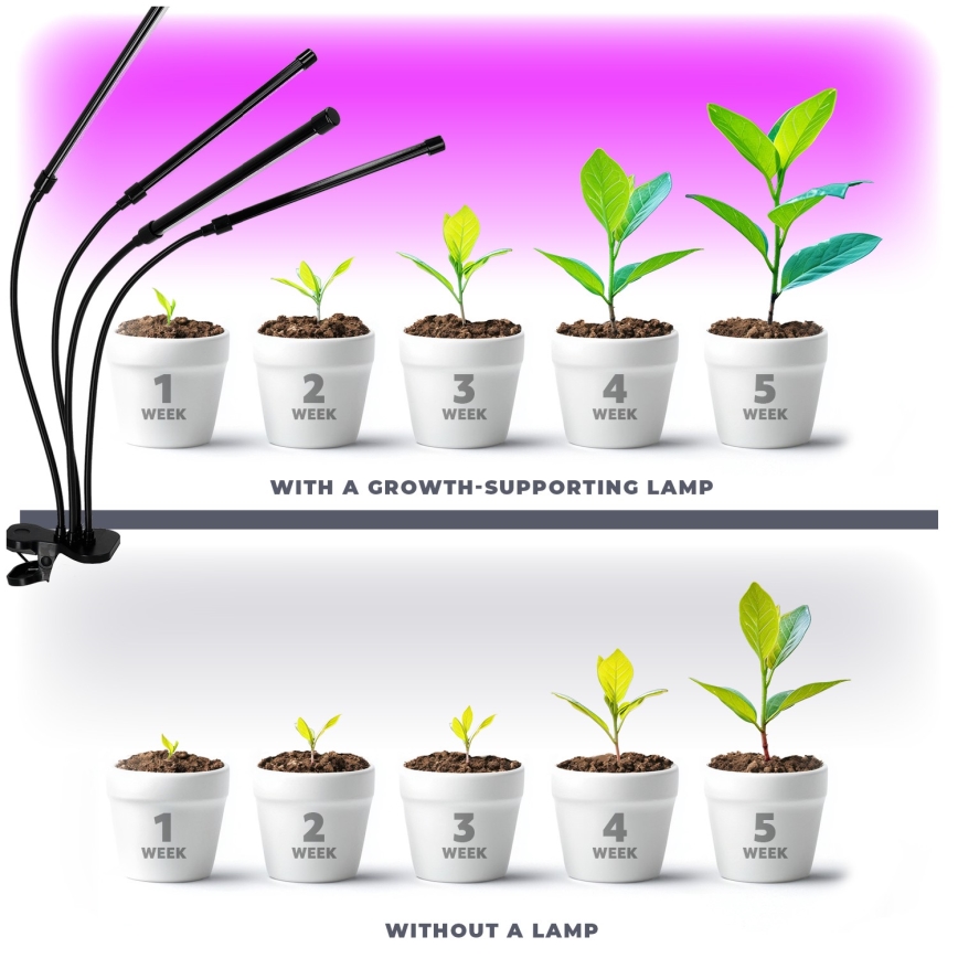 Lampă de birou flexibilă LED reglabilă cu clemă pentru cultivarea plantelor VITARO 4xLED/10W/230V negru