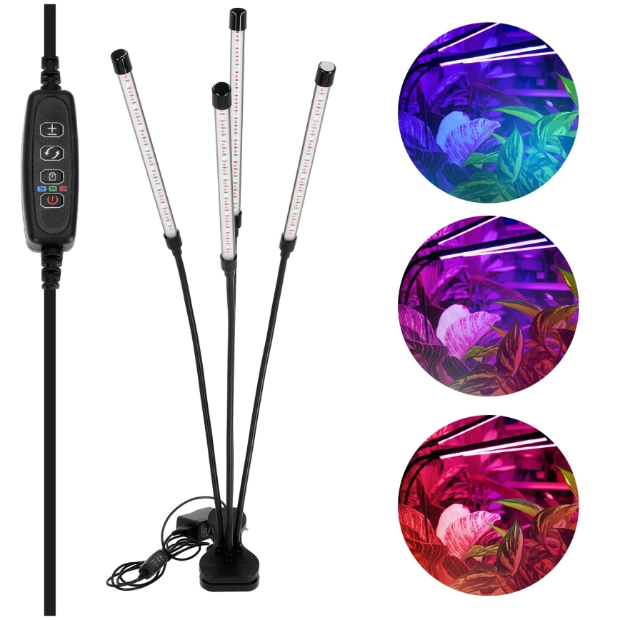 Lampă de birou flexibilă LED reglabilă cu clemă pentru cultivarea plantelor VITARO 4xLED/10W/230V negru