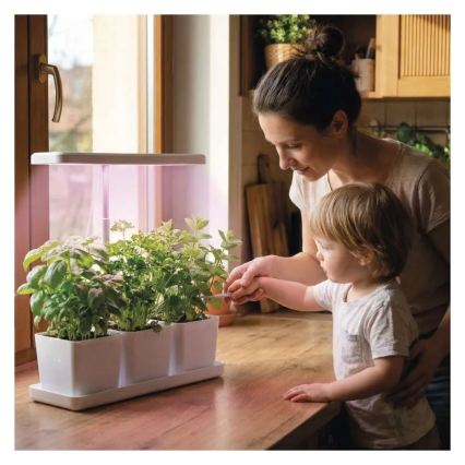 Lampă LED reglabilă de interior pentru cultivarea plantelor GROW, 7W/5V