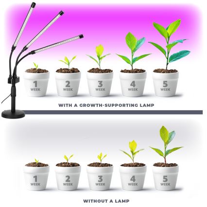 Lampă de birou flexibilă cu LED reglabilă pentru cultivarea plantelor VITARO 3xLED/10W/230V negru