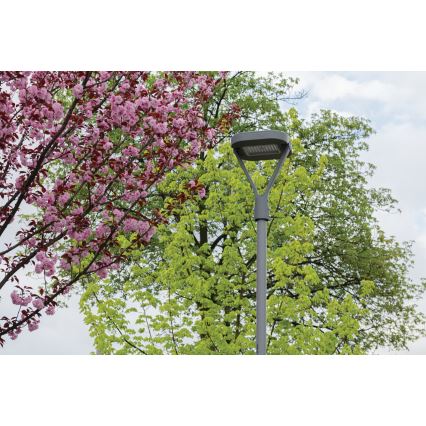 Lampă LED stradală PARCOLI LED/30/40/50W/230V 3000/4000/6500K IP66 gri