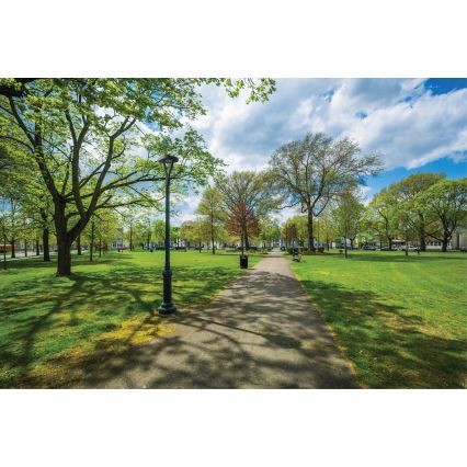 Lampă LED stradală PARCOLI LED/30/40/50W/230V 3000/4000/6500K IP66 gri