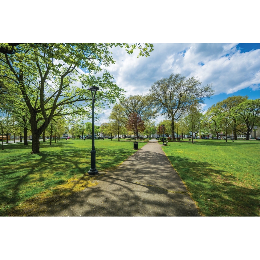 Lampă LED stradală PARCOLI LED/30/40/50W/230V 3000/4000/6500K IP66 gri