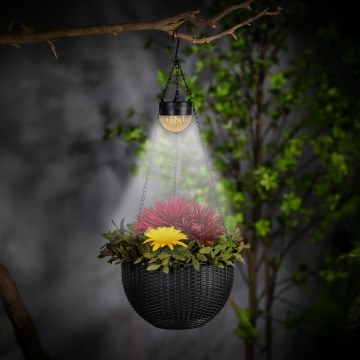 Lampă solară LED cu ghiveci, 1,2 V, 400 mAh, IP44, negru
