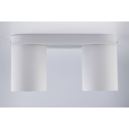 Lampă spot CREEP 2xGU10/25W/230V alb