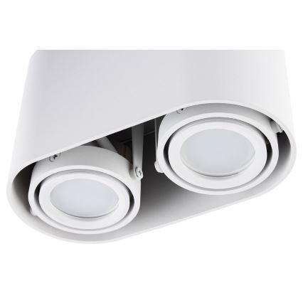 Lampă spot SIROK 2xGU10/30W/230V