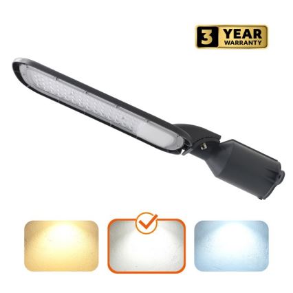 Lampă stradală LED BRELUXO 100 W/230 V 4000 K IP65