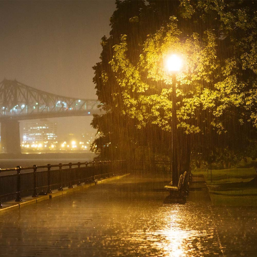 Lampă stradală LED cu senzor, cip SAMSUNG LED/50W/230V 6500K IP65