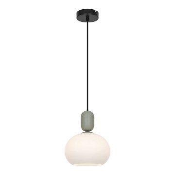 Lampă suspendată pe cablu VALISIA 1xE27/40W/230V negru/măsliniu
