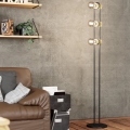 Lampadar 3xE27/28W/230V Eglo
