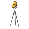 Lampadar Globo 1xE27/40W/230V