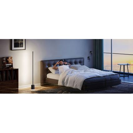Lampadar LED dimabil cu difuzor Govee Pro RGBICWW 2200-6500K Wi-Fi + telecomandă