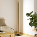 Lampadar LED dimabil CAMACHO LED/22W/230V Eglo