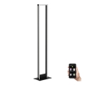 Lampadar LED dimabil Eglo LED/33W/230V 2700-6500K