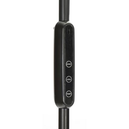 Lampadar LED dimabil LED/9W/24V black + telecomandă