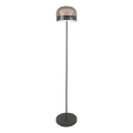 Lampadar LED dimabil Rabalux LED/20W/230V 3000/4000/6000K