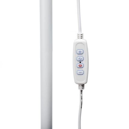 Lampadar LED dimabil SIGNUS LED/10W/230V 3000/4500/6500K alb