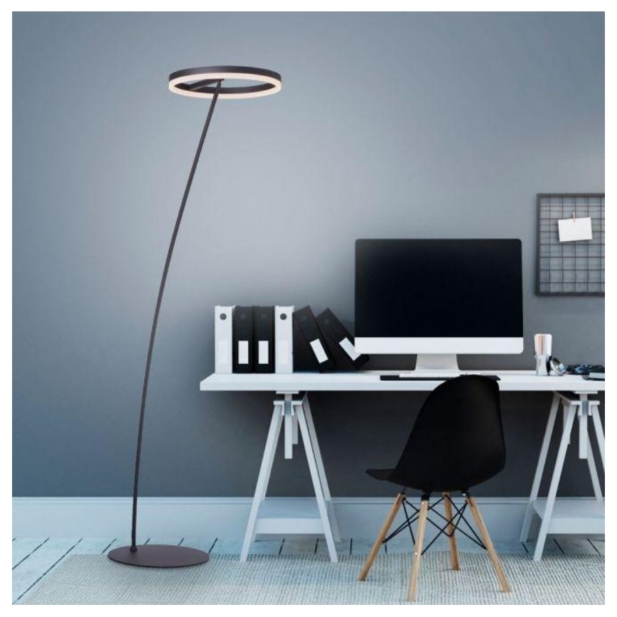 Lampadar LED dimabil TITUS LED/19,5W/230V Paul Neuhaus 381-13