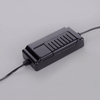 Lampadar LED dimabil TITUS LED/19,5W/230V Paul Neuhaus 381-13