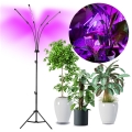 Lampadar LED flexibil dimabil pentru creșterea plantelor VITARO 4xLED/7,5W/230V negru