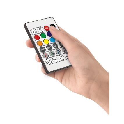 Lampadar LED RGB dimabil Eglo LED/13,5W/230V 2700-6500K + telecomandă