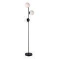 Lampadar Nordlux LILLY 3xE14/25W/230V negru