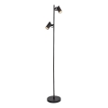 Lampadar Rabalux 2xGU10/10W/230V