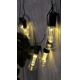 Lanț decorativ cu becuri LED EDISON 2,65 m 10xLED/2xAA