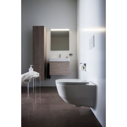 LAUFEN H8109620001041 - Lavoar PRO 55 x 46,5 cm pentru montaj pe blat/suspendat, ceramică albă