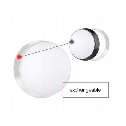 Aplica de perete LED pentru exterior cu senzor LED/15W/230V 4000K IP65