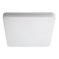 LED iluminat tehnic LED/24W/230V IP54 4000K