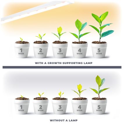 Lumină LED subliniară pentru cultivarea plantelor GROWLY LED/15W/230V