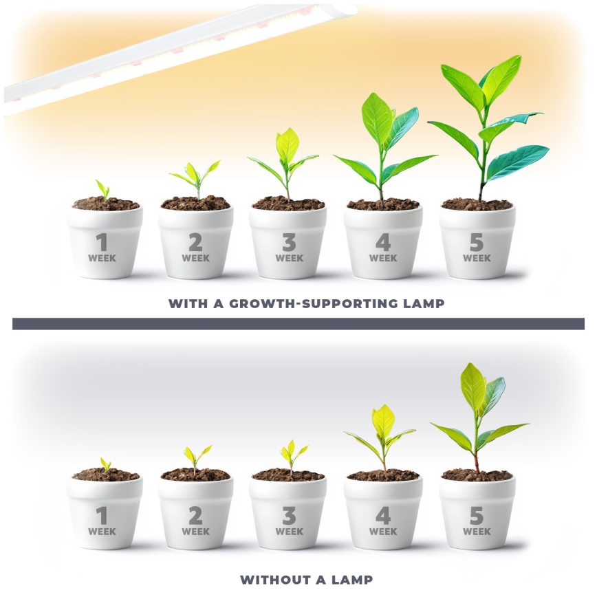 Lumină LED subliniară pentru cultivarea plantelor GROWLY LED/15W/230V