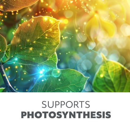 Lumină LED subliniară pentru cultivarea plantelor GROWLY LED/15W/230V