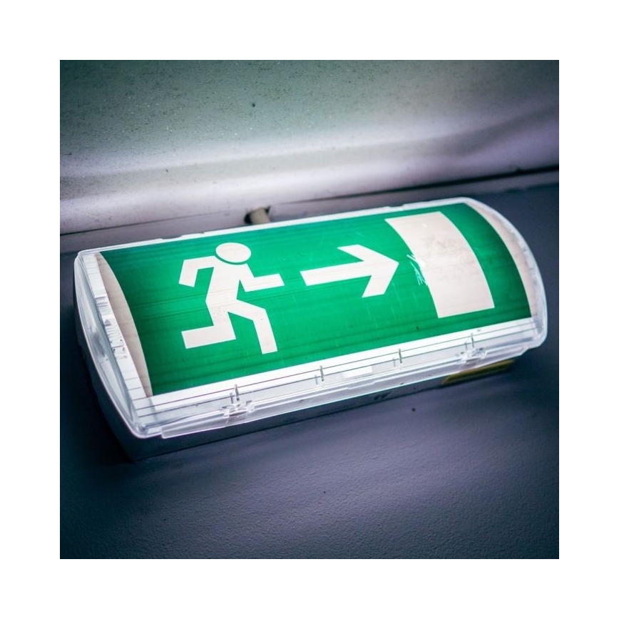 Lumină de urgență LED EMERGENCY EXIT LED/3W/230V IP65 6000K 1200mAh