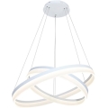 LED Lustră pe cablu RING cu telecomandă LED/60W/230V