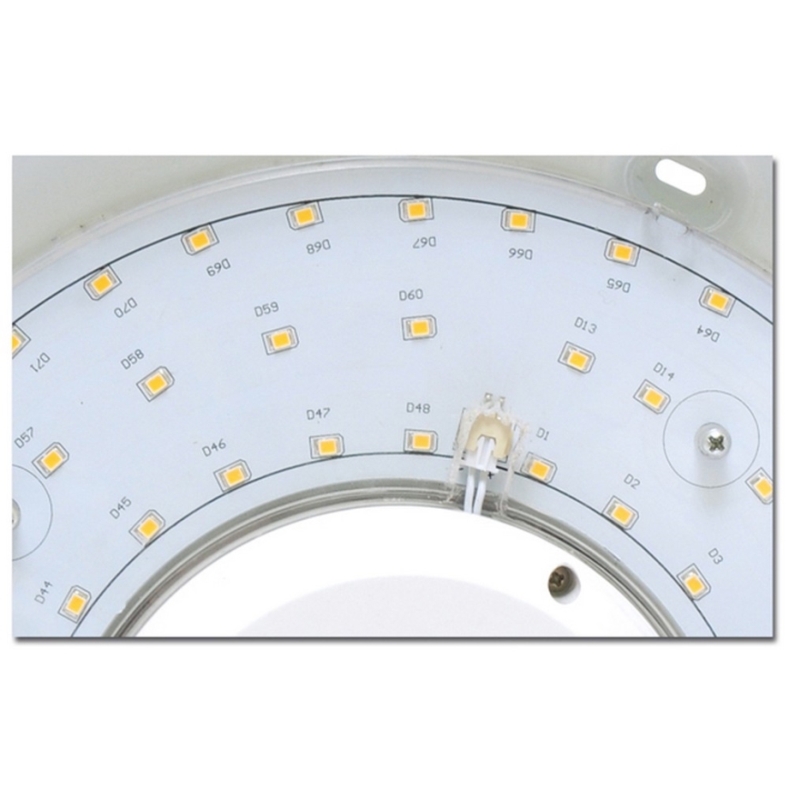 LED Plafonieră baie VICTOR LED/25W/230V IP44