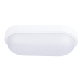 LED Plafonieră exterior LED/20W/230V IP54