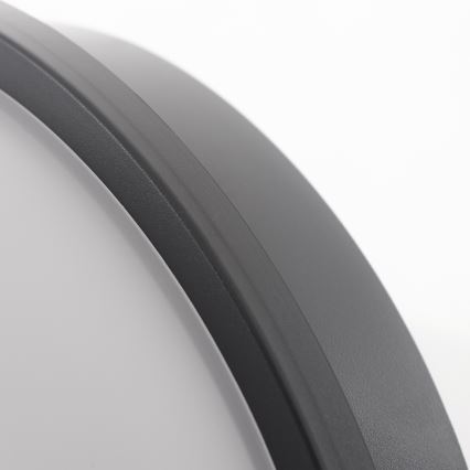 LED Plafonieră LED/20W/230V IP65