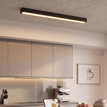 LED plafonieră/lustru pe cablu LED/44W/230V 3000K 120 cm negru