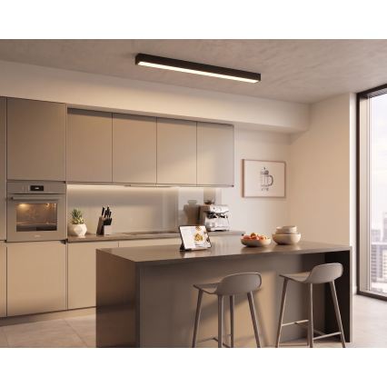 LED plafonieră/lustru pe cablu LED/44W/230V 3000K 120 cm negru