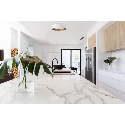 Lumină de plafon LED reglabilă SMART GALAXY LED/24W/230V diametru 44 cm alb/auriu 3000-6500K + telecomandă