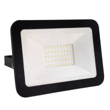 LED Proiector LED/30W/230V IP65